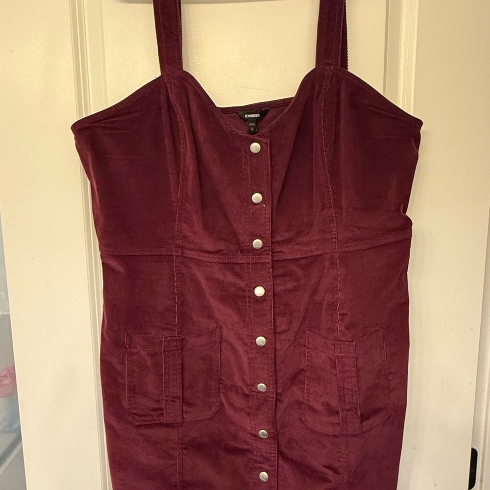 Express Burgundy Mini Dress